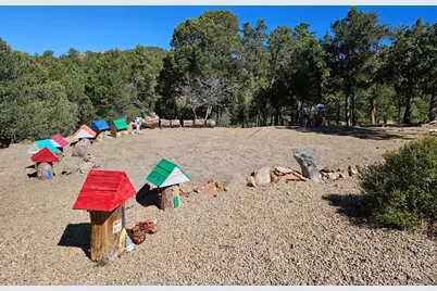 1900 Arnold Dr, Cotopaxi, CO 81223 - Photo 43