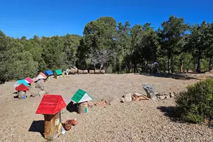 1900 Arnold Dr, Cotopaxi, CO 81223 - Photo 43