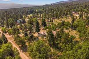 206 Little Horn Dr, Westcliffe, CO 81252 - Photo 33