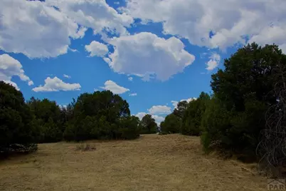 Tbd La Veta Pines Ranches, La Veta, CO 81055 - Photo 21