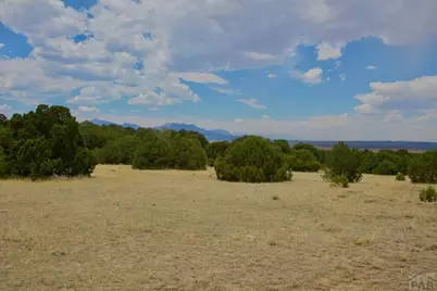 Tbd La Veta Pines Ranches, La Veta, CO 81055 - Photo 25