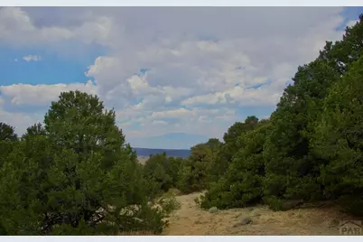 Tbd La Veta Pines Ranches, La Veta, CO 81055 - Photo 17
