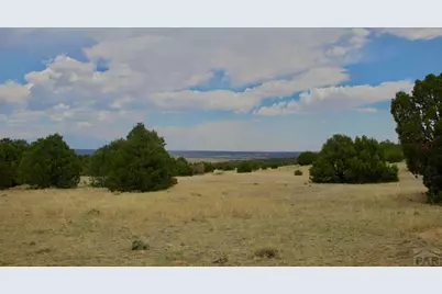 Tbd La Veta Pines Ranches, La Veta, CO 81055 - Photo 23