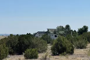 379 E Liberty Point Pl, Pueblo West, CO 81007 - Photo 59