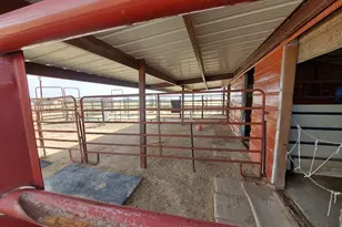 20785 El Nino, Fountain, CO 80817 - Photo 23