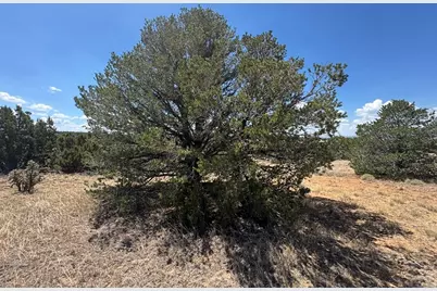 Lot F Twin Lakes Ranches, Walsenburg, CO 81089 - Photo 13