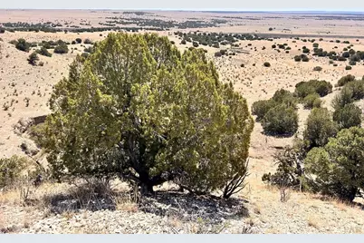 Lot 45 Railroad Spring Dr, Pueblo, CO 81004 - Photo 9
