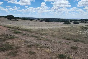 Tbd Patsy Circle, Colorado City, CO 81019 - Photo 1
