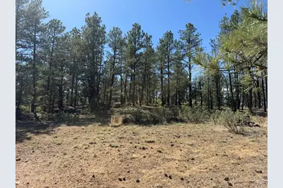 19963 Deer Path Ln, Weston, CO 81091 - Photo 9