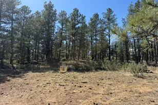 19963 Deer Path Ln, Weston, CO 81091 - Photo 9