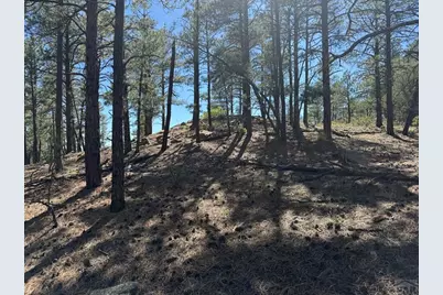 19963 Deer Path Ln, Weston, CO 81091 - Photo 11