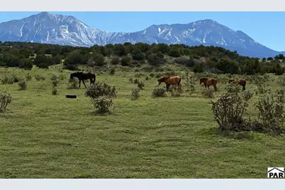 1704 County Rd 340, Walsenburg, CO 81089 - Photo 7
