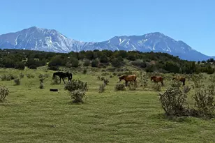 1704 Co Rd 340, Walsenburg, CO 81089 - Photo 7