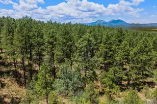 23251 Elk Trail, Aguilar, CO 81020 - Photo 39