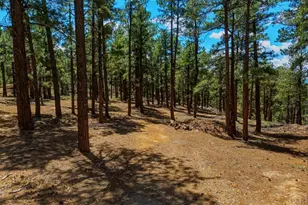 23251 Elk Trail, Aguilar, CO 81020 - Photo 45