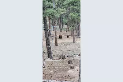 23251 Elk Tr, Aguilar, CO 81020 - Photo 53