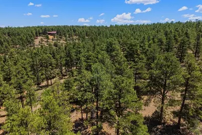 23251 Elk Tr, Aguilar, CO 81020 - Photo 41