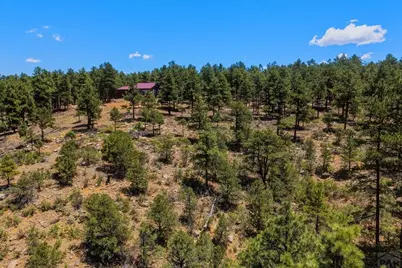 23251 Elk Tr, Aguilar, CO 81020 - Photo 47