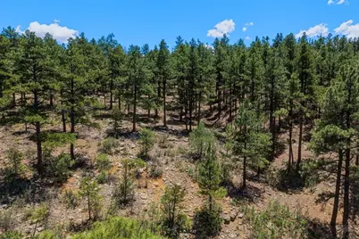 23251 Elk Tr, Aguilar, CO 81020 - Photo 43