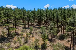 23251 Elk Trail, Aguilar, CO 81020 - Photo 43