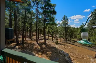 23251 Elk Trail, Aguilar, CO 81020 - Photo 33