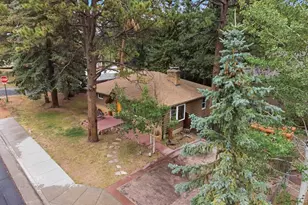 305 S Fairview, Woodland Park, CO 80863 - Photo 31