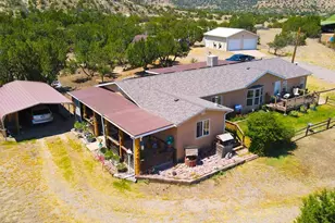 435 Twin Pines Ave, Rockvale, CO 81244 - Photo 3