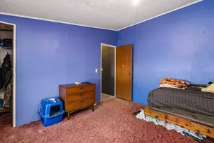 1609 Anthalie St, Pueblo, CO 81006 - Photo 21