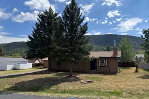 919 N Fullview St, Woodland Park, CO 80863 - Photo 1