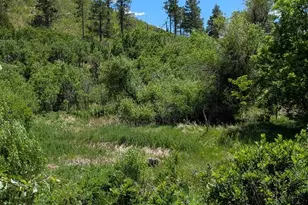 2254 Co Rd 318, Walsenburg, CO 81089 - Photo 15