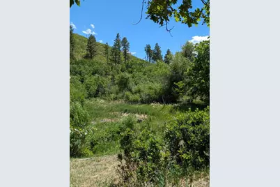 2254 County Road 318, Walsenburg, CO 81089 - Photo 7