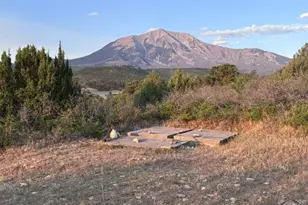 2254 Co Rd 318, Walsenburg, CO 81089 - Photo 21