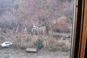 2254 Co Rd 318, Walsenburg, CO 81089 - Photo 11