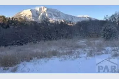 2254 County Road 318, Walsenburg, CO 81089 - Photo 19
