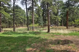 8229 Green Ln, Rye, CO 81069 - Photo 21
