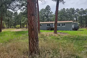 8229 Green Ln, Rye, CO 81069 - Photo 23