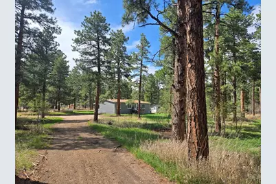 8229 Green Lane, Rye, CO 81069 - Photo 3