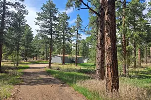 8229 Green Ln, Rye, CO 81069 - Photo 3