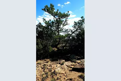 Lot 60 Turkey Ridge Rd, Walsenburg, CO 81089 - Photo 5