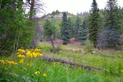 22954 Mt. Elbert Dr, Aguilar, CO 81020 - Photo 49