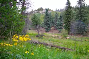 22954 Mt Elbert Dr, Aguilar, CO 81020 - Photo 49