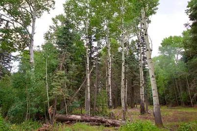 22954 Mt. Elbert Dr, Aguilar, CO 81020 - Photo 29