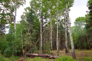 22954 Mt Elbert Dr, Aguilar, CO 81020 - Photo 29