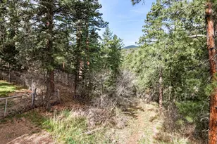 9020 Pine Ave, Beulah, CO 81023 - Photo 29