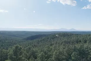 33182 Timber Park Dr, Trinidad, CO 81082 - Photo 49