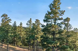 33182 Timber Park Dr, Trinidad, CO 81082 - Photo 47