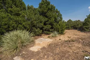2308 Silver Spur Rd, Walsenburg, CO 81089 - Photo 73