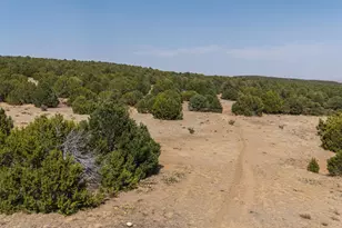 2308 Silver Spur Rd, Walsenburg, CO 81089 - Photo 81