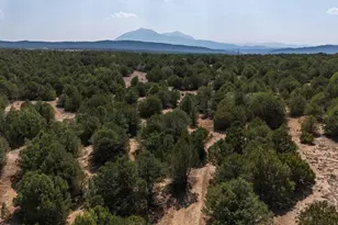 2308 Silver Spur Rd, Walsenburg, CO 81089 - Photo 83