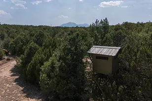 2308 Silver Spur Rd, Walsenburg, CO 81089 - Photo 79